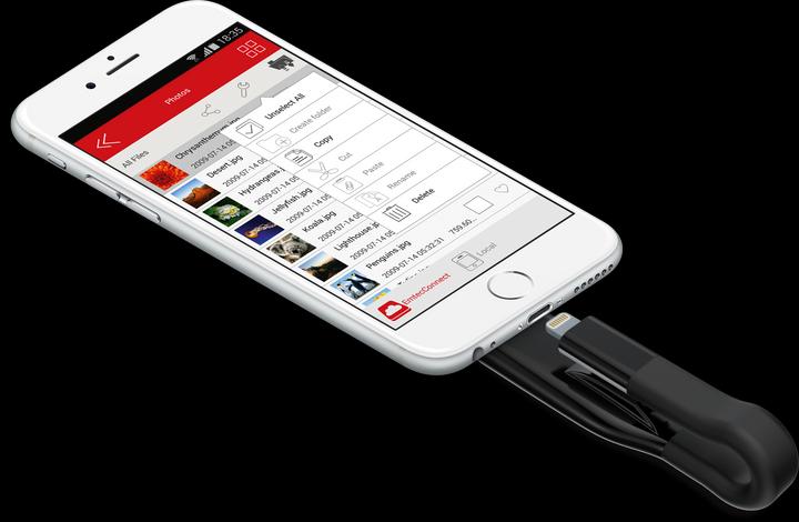 Image du produit Emtec T500 Icobra2 (32 Go, USB-A)