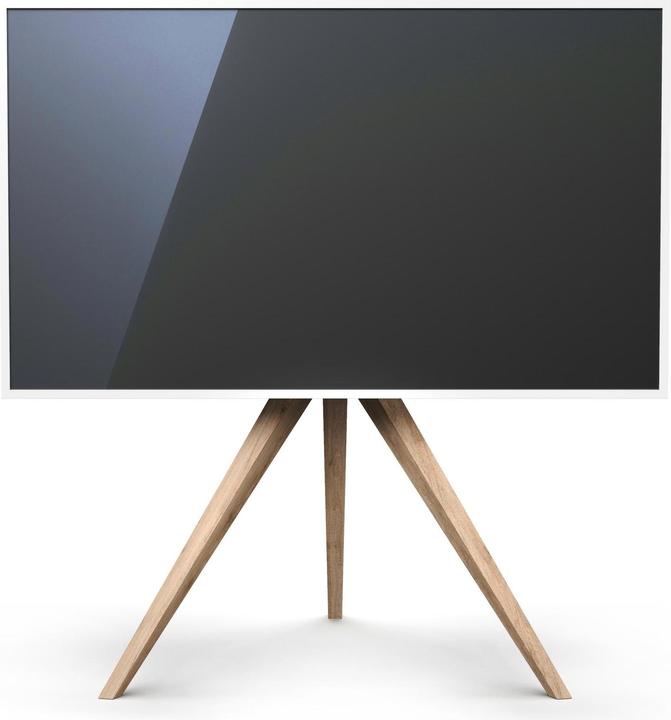 Spectral Tipo AX30-RON (Universale, 65", 40 kg)