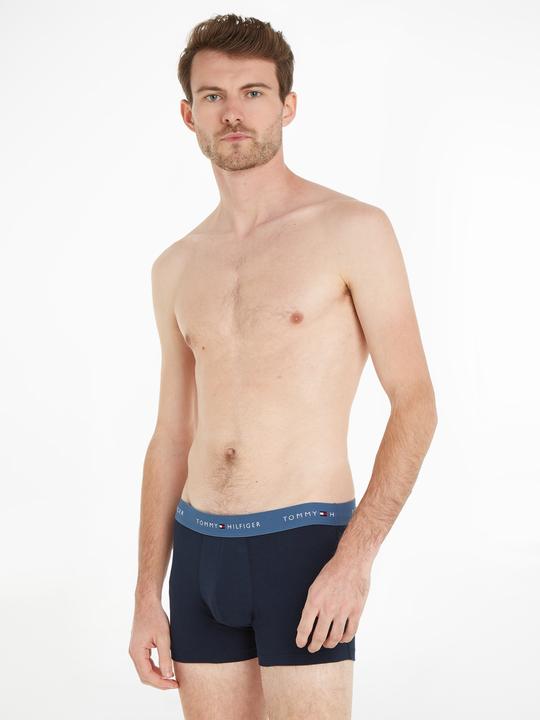 Actual product image Tommy Hilfiger WB Trunk (L, pack of 3)