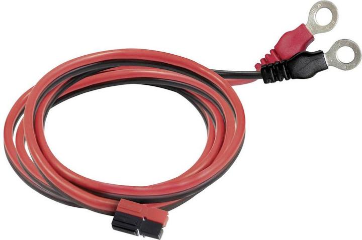 Immagine prodotto GYS GYSFLASH 10.36/48 PL (10.60 A)