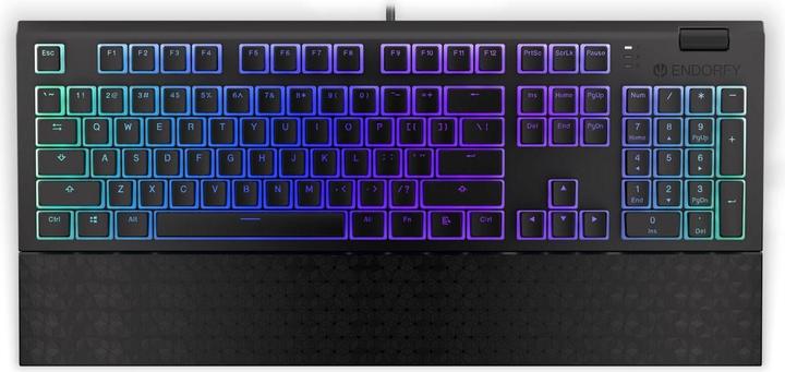 Actual product image Endorfy Omnis keyboard USB QWERTY Black (Eng. Int., Cable)