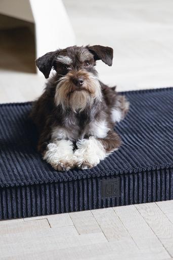 Productafbeelding Designed by Lotte Orthopedisch kooikussen Geribd (Hond)