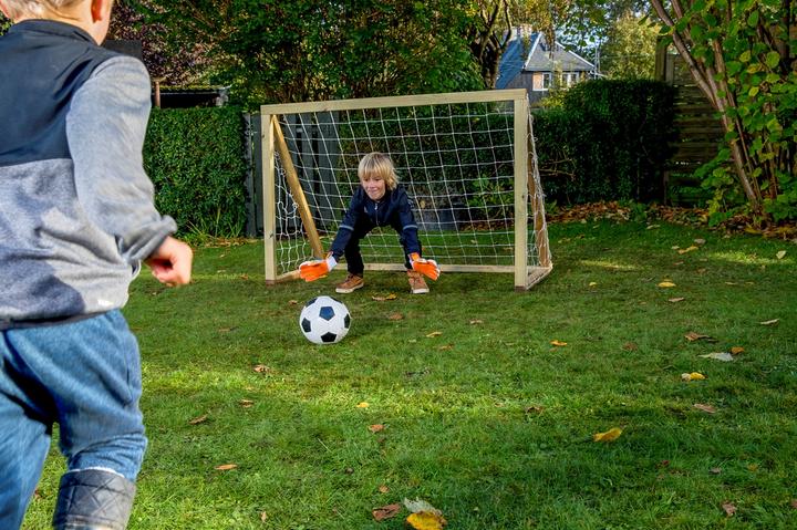 Actual product image Euro Play Homegoal Classic Mini