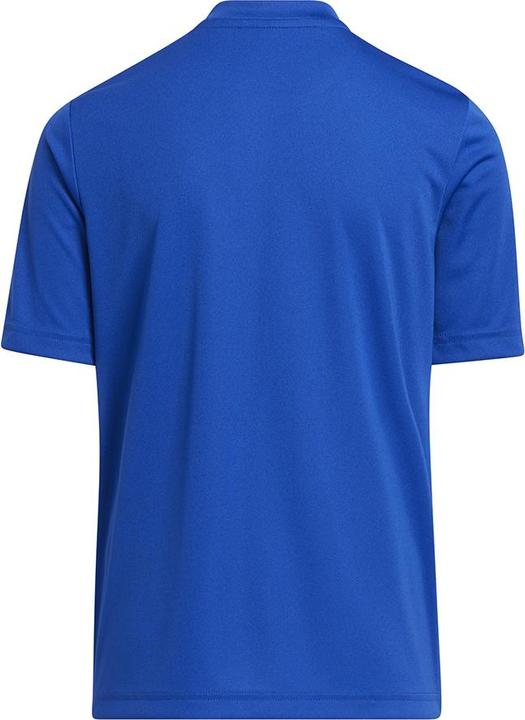 Produktbild adidas Entrada 22 Graphic Trikot (116)