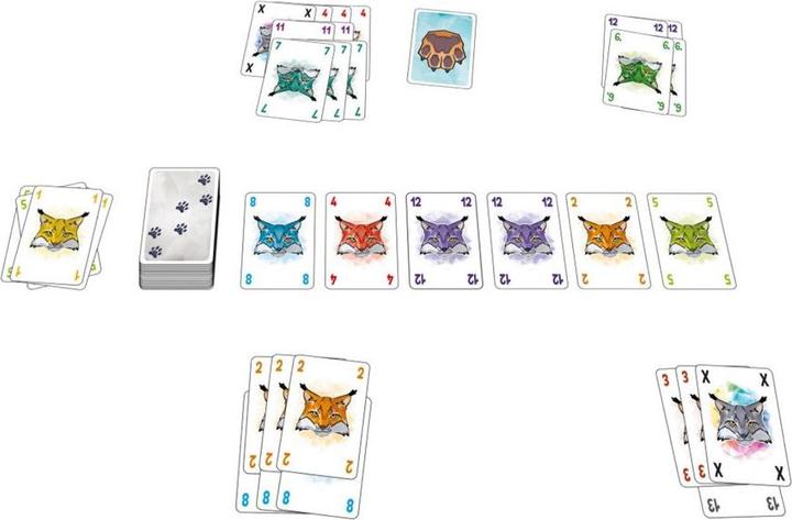 Actual product image Abluxxen card game (German, French)