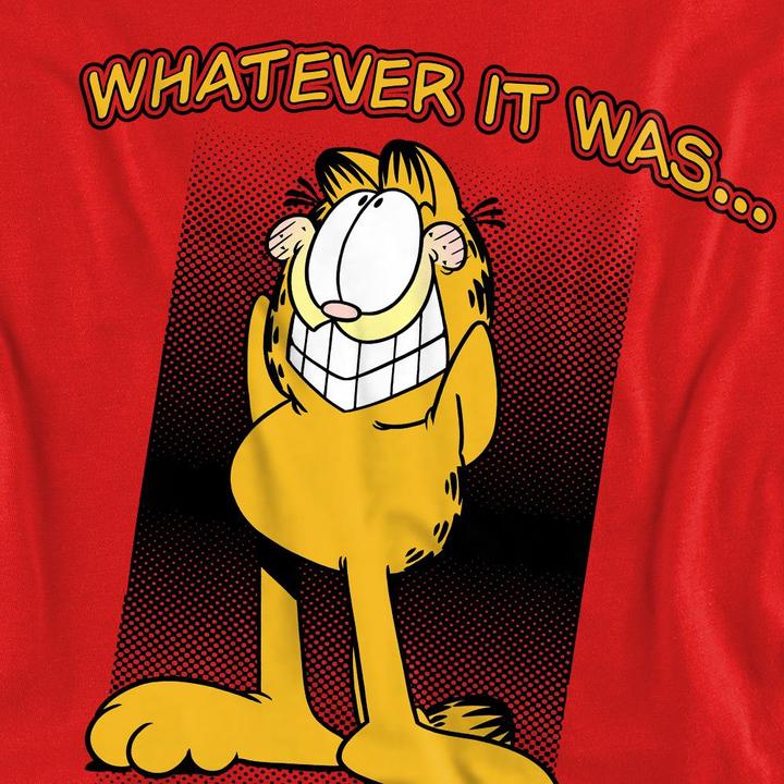 Produktbild Garfield I Didn't Do It Sweatshirt (S)