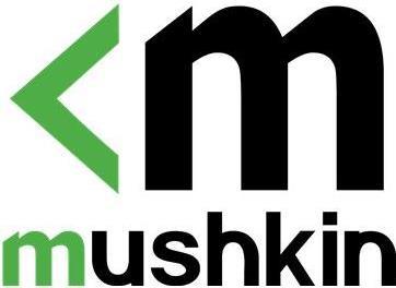Produktbild Mushkin Redline (2 x 16GB, 3200 MHz, DDR4-RAM, SO-DIMM)