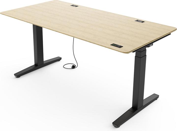 Image du produit Yaasa Desk Expert (160 x 80 cm)