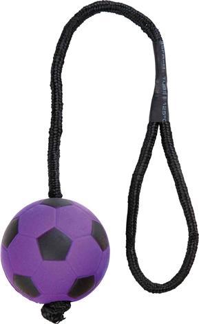 Produktbild Trixie Sportball am Seil (Ballspielzeug Hund)