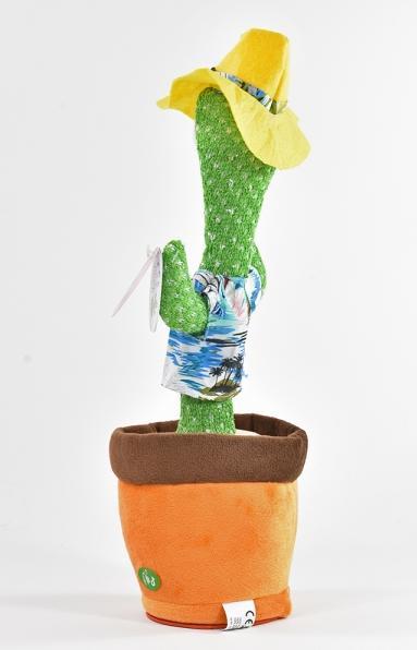 Immagine prodotto Kögler Cactus danzante (34 cm)