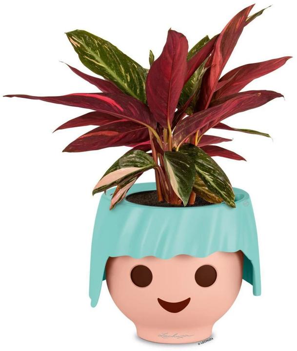 Actual product image Lechuza Ojo (21 cm)