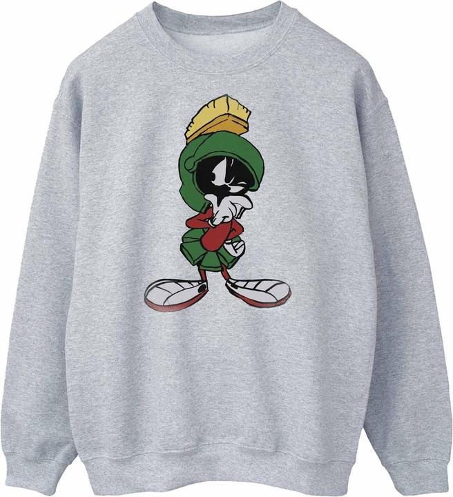 Looney Tunes Sweatshirt