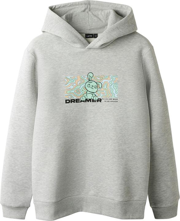 Lmtd Loose Fit Hoodie (170)