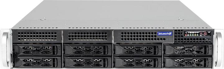 Bluechip SERVERline R32315r (32 GB, Rack Server)
