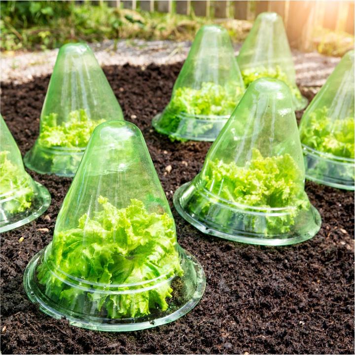 Actual product image Windhager Plant hat