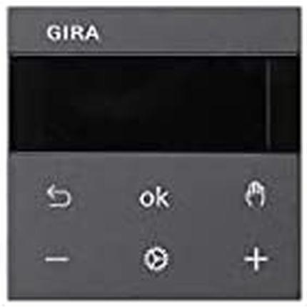 Actual product image Gira 539428
