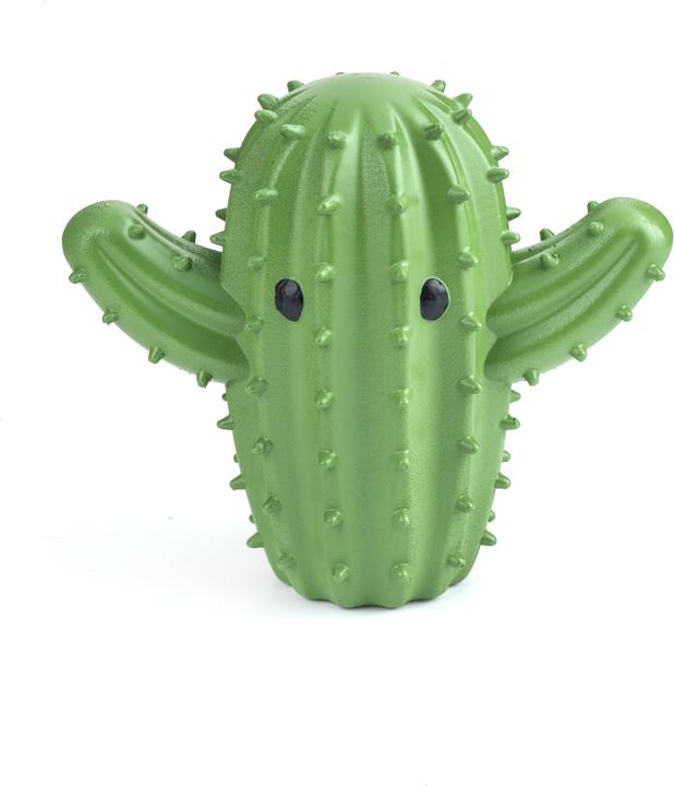 Productafbeelding Kikkerland Cactus Droogballen