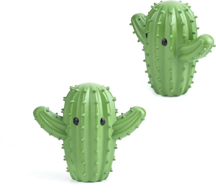 Productafbeelding Kikkerland Cactus Droogballen