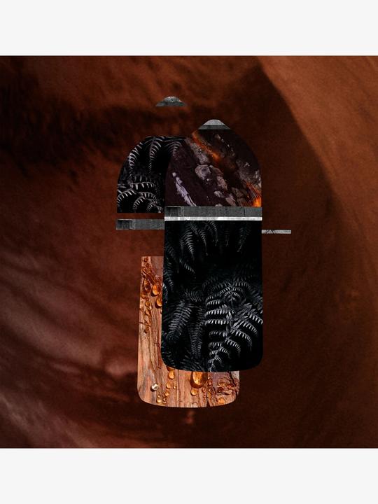 Immagine prodotto Cartier Pasha de Noir Absolu (Eau de parfum, 50 ml)