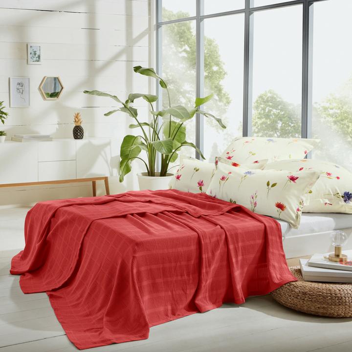 Immagine prodotto Erwin Müller Coperta estiva (130 x 160 cm)