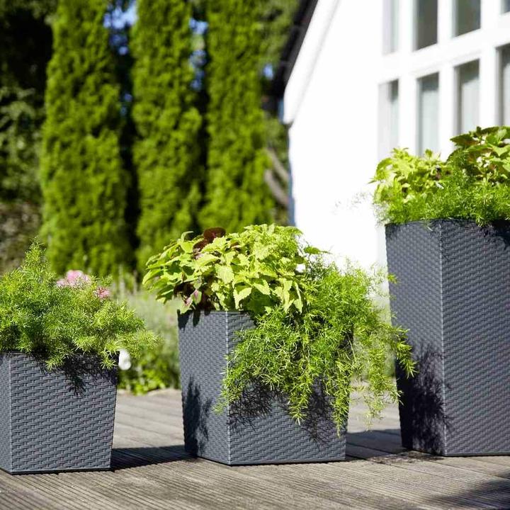 Immagine prodotto Siena Garden Modern (35 cm)