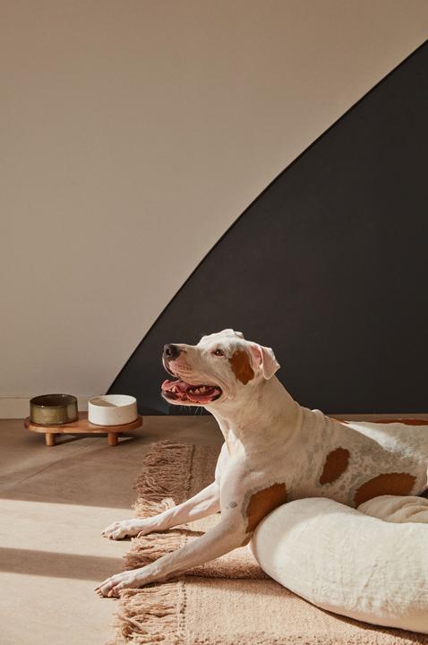 Image du produit Kave Home Dumbi