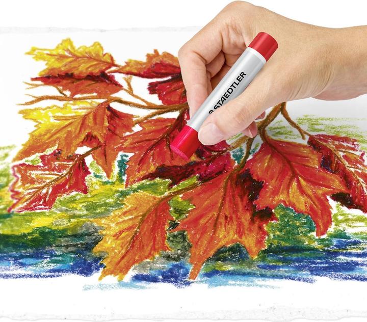 Produktbild Staedtler 2420 Öl-Pastellkreide Kartonetui mit 12 Stück, sortiert (Sortiert, 1 x)