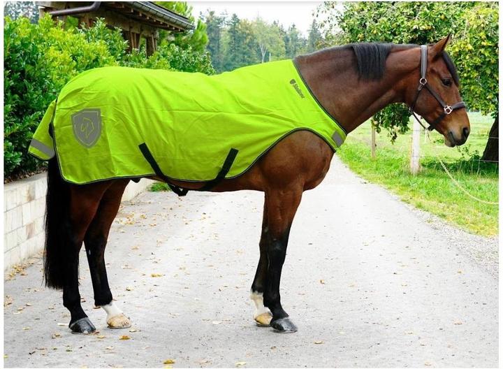 Image du produit Stallone Walker Rug 100 g 20 (145 cm)