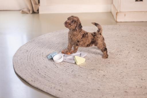 Actual product image Beeztees Puppy braingame Lot (Intelligence toy dog)