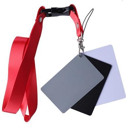 Image du produit Studioking Carte grise numérique SKGC-31S