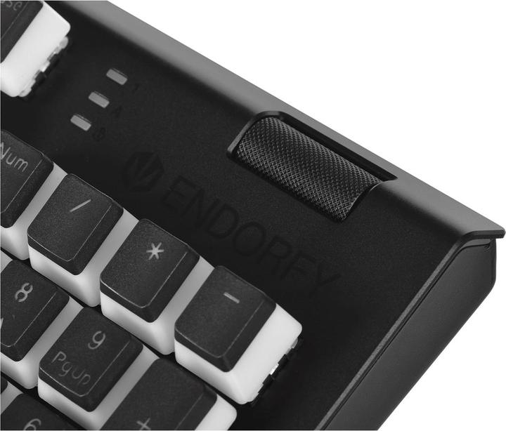 Actual product image Endorfy Omnis keyboard USB QWERTY Black (Eng. Int., Cable)