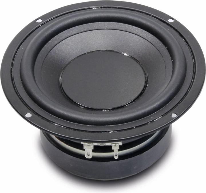 Actual product image Visaton W 130 X