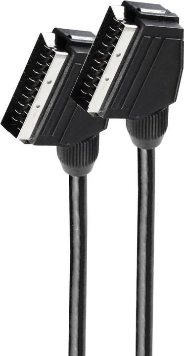 Actual product image Shiverpeaks BASIC-S Scart cable, plug (1.50 m)