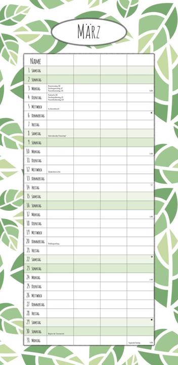 Actual product image Alpha Edition Family Planner Deluxe 2025 Family Calendar, 22x45cm, Calendar with 4 Columns for (22 x 45 cm, German)