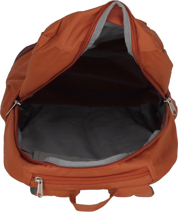 Produktbild Deuter Gogo (25 l)