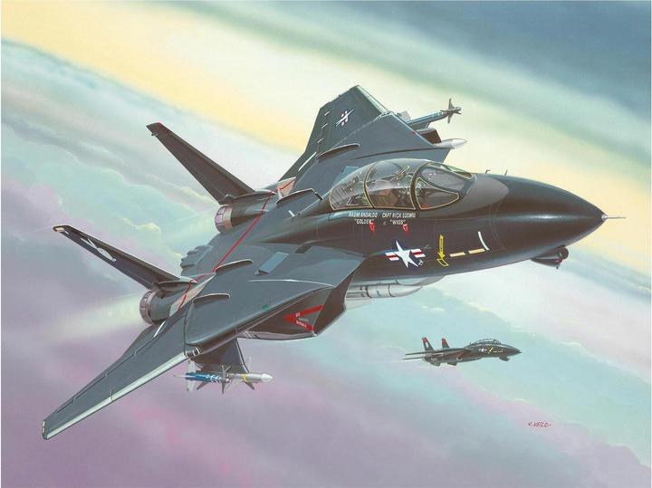 Actual product image Revell F-14A Tomcat Black Bunny