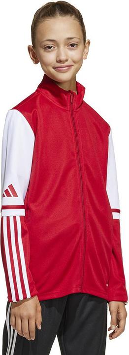 Actual product image adidas Squadra 25 Kids training jacket (164)