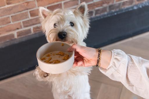 Actual product image Designed by Lotte Noor dog bowl (0.30 l)