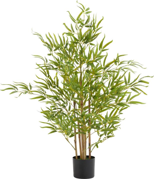 tectake Bambusbaum Bambosa (120 cm)