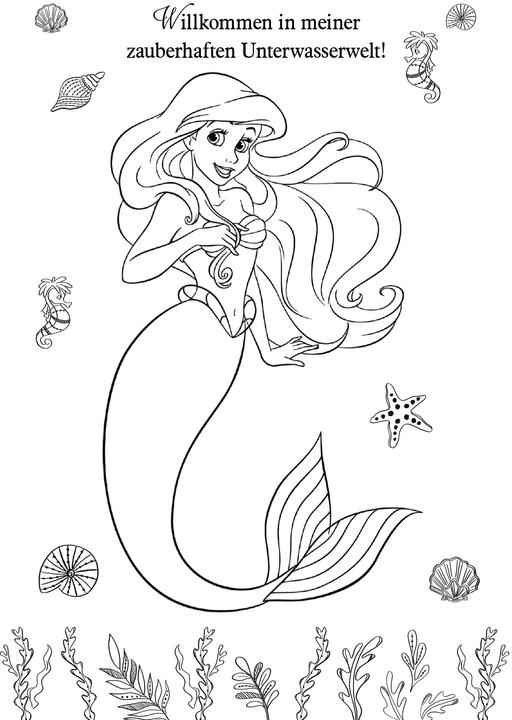 Image du produit Panini Arielle la sirène