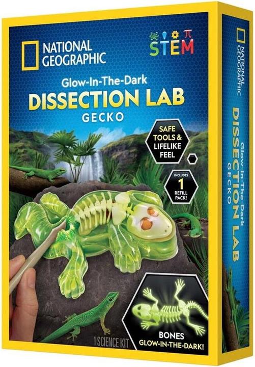 Image du produit National Geographic Laboratoire de dissection Gecko (29-2451)