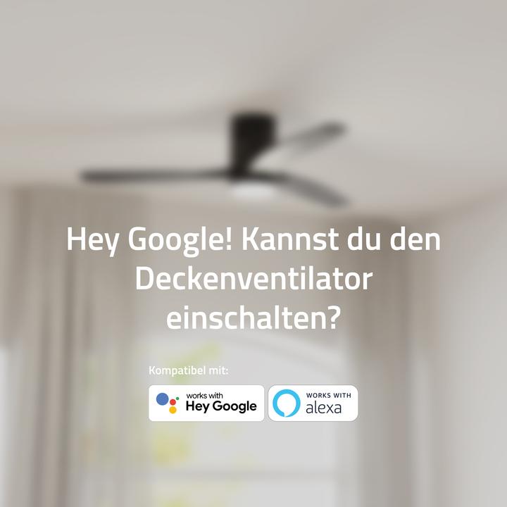 Productafbeelding Hombli Deckenventilator mit Licht (43 dB)