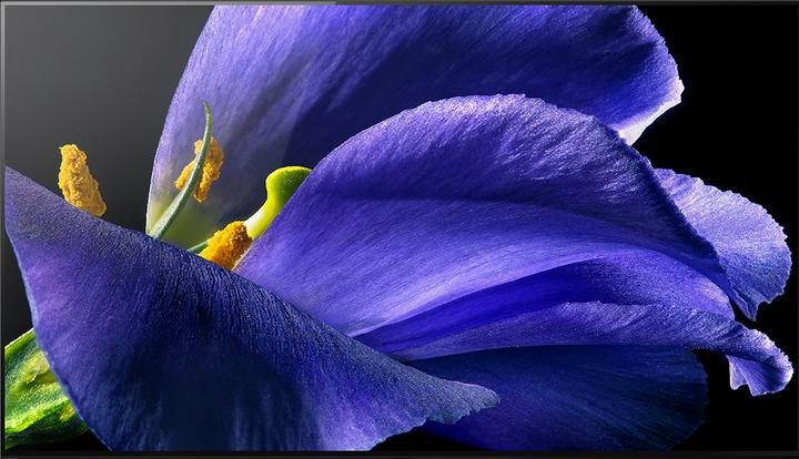 Sony OLED KD65AG9 (65", OLED, 4K, 2019)