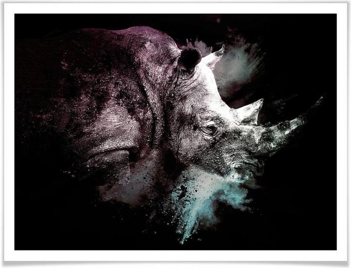 Produktbild Trenddeko Hugonnard - Wild Explosion: Nashorn (50 x 40 cm)