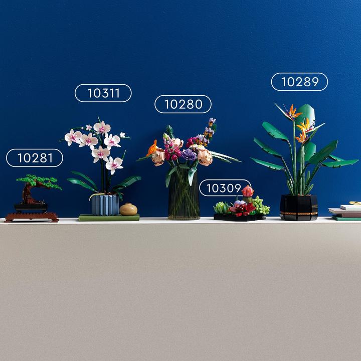Immagine prodotto LEGO Succulente (10309, LEGO Botanical, Set LEGO rari)