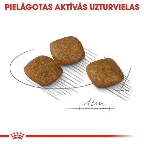 Produktbild Royal Canin for stressful dogs Mini Relax Care. Weight - 1kg. (Adult, 1 Stk., 1000 g)