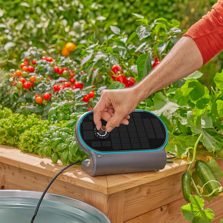Produktbild Gardena Solar-Bewässerung AquaBloom L Set (Tropfbewässerung Set)
