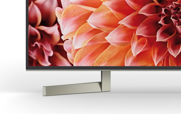 Immagine prodotto Sony Kd-55xf9005 (55", LCD, 4K, 2018)