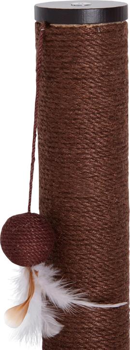 Produktbild PawHut Kratzbaum für Wandmontage (50 cm, Braun)