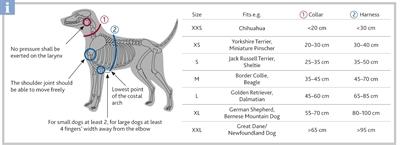 Actual product image Trixie Premium collar (XS, S, Dog, General)